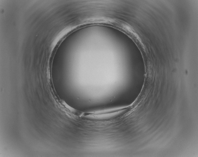 X0000072501328200608041431