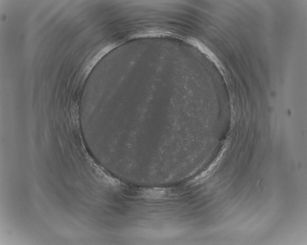 X0000072501329200608041431