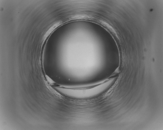 X0000072501330200608041431