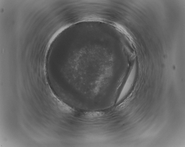 X0000072501331200608041431