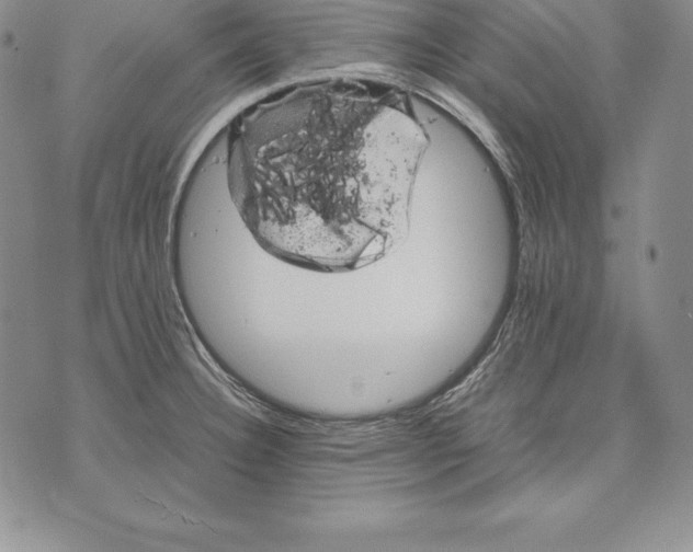 X0000072501332200608041431