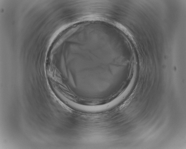 X0000072501334200608041431