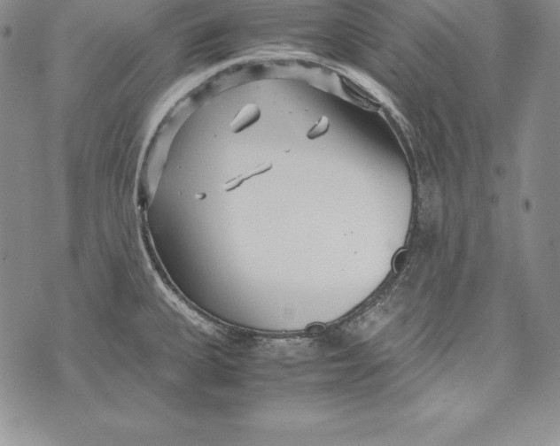 X0000072501335200608041431