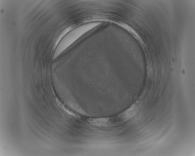 X0000072501337200608041431