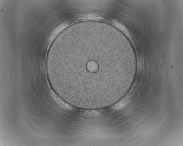 X0000072501338200608041431