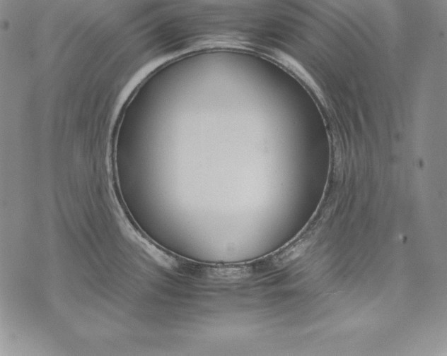 X0000072501339200608041431