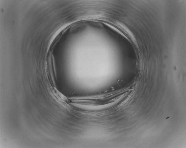 X0000072501340200608041431