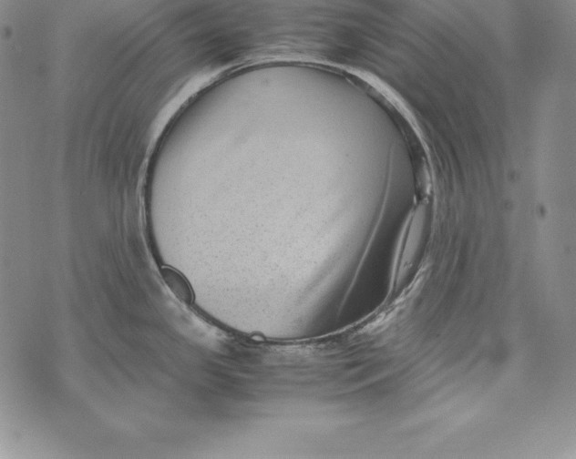 X0000072501341200608041432