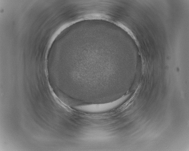 X0000072501342200608041432