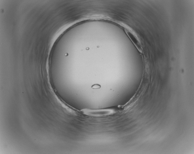 X0000072501343200608041432