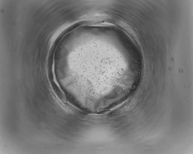 X0000072501344200608041432