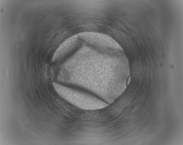 X0000072501346200608041431