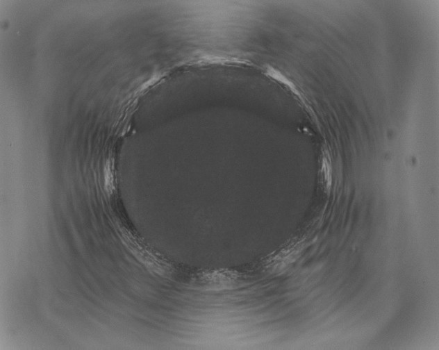 X0000072501348200608041431