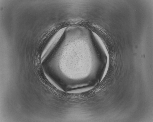 X0000072501349200608041431