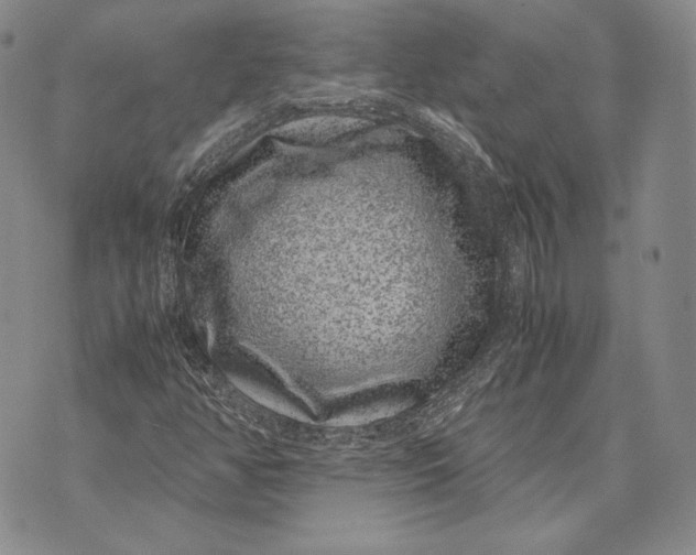 X0000072501350200608041431