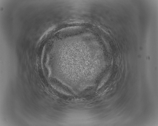 X0000072501351200608041431