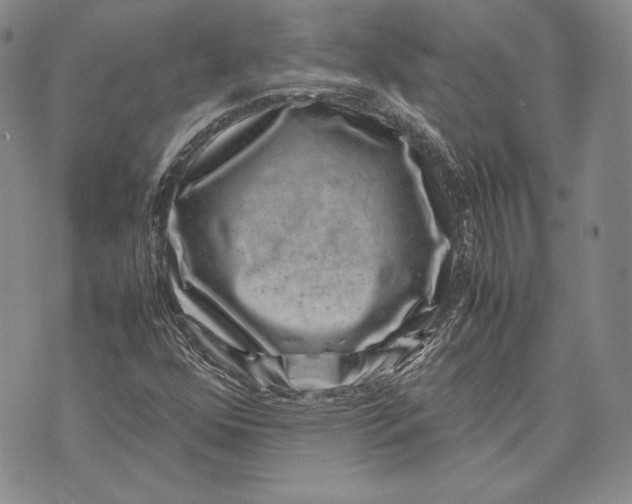 X0000072501352200608041431