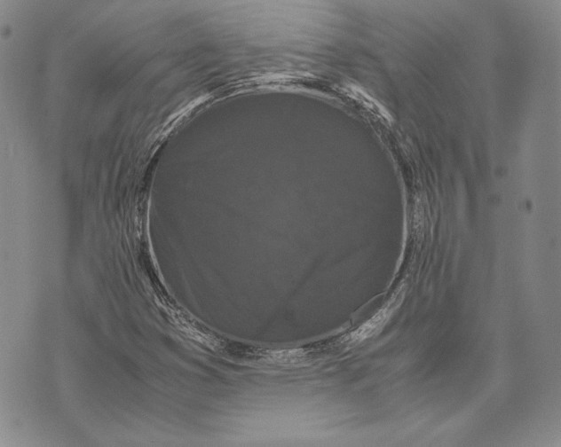 X0000072501353200608041431