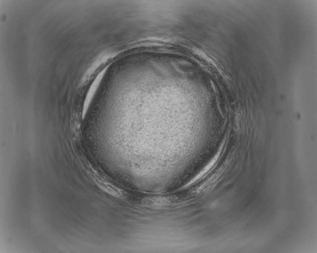 X0000072501355200608041431