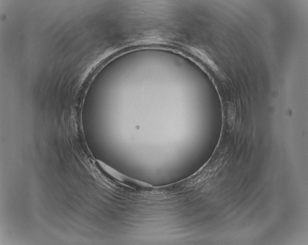 X0000072501356200608041431