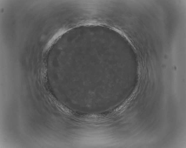 X0000072501359200608041431