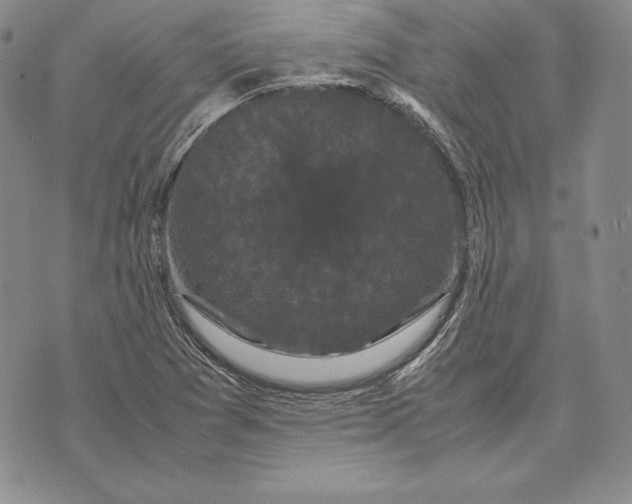 X0000072501361200608041431