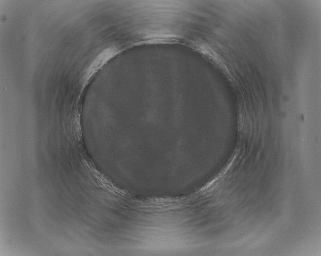 X0000072501362200608041431