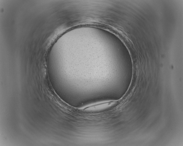 X0000072501363200608041430