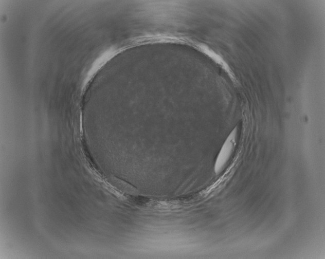 X0000072501365200608041430