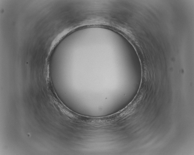 X0000072501366200608041430