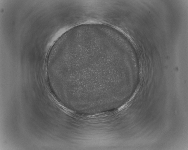 X0000072501367200608041430