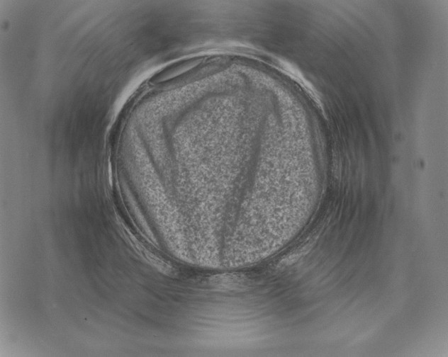 X0000072501368200608041430