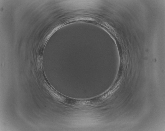 X0000072501369200608041430