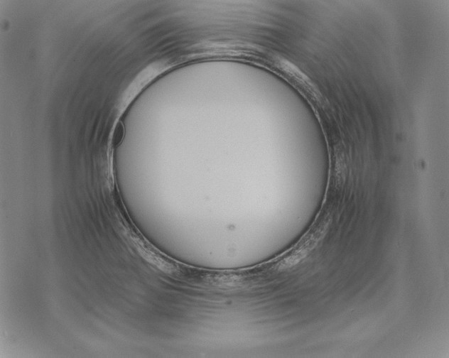 X0000072501370200608041430