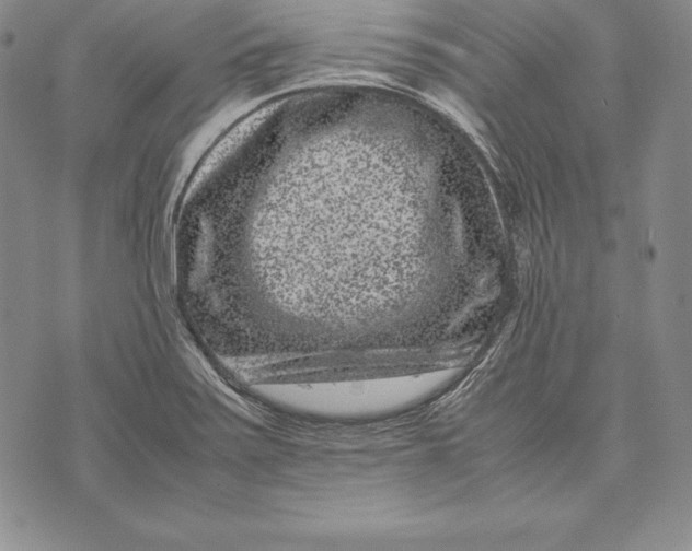 X0000072501371200608041430