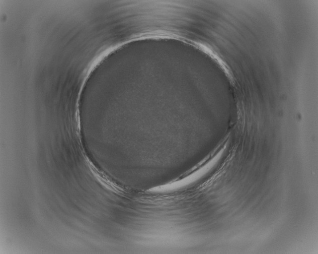 X0000072501372200608041430