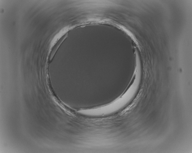 X0000072501373200608041430