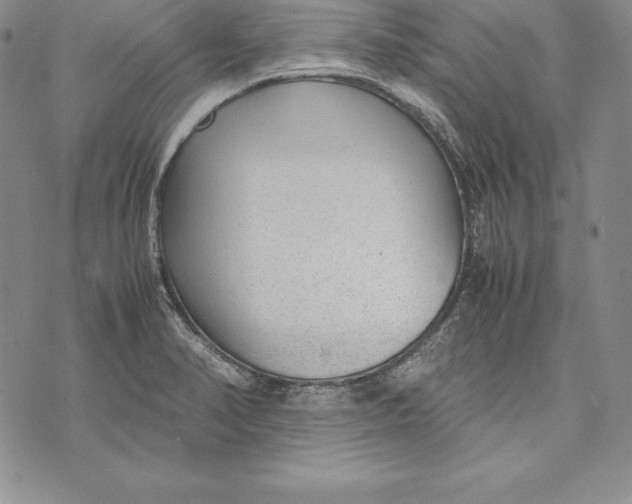 X0000072501374200608041430