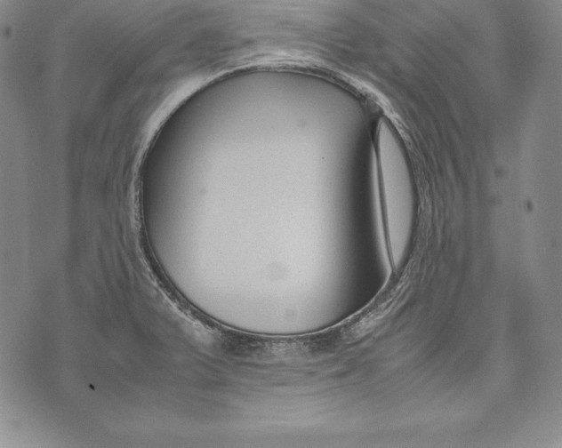 X0000072501375200608041430