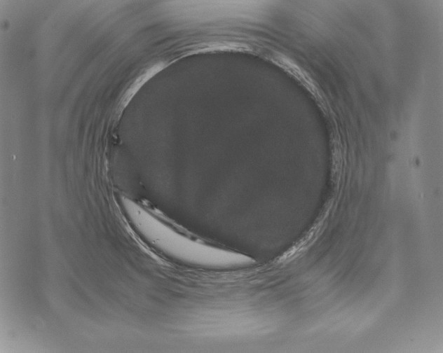 X0000072501377200608041430