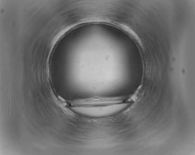 X0000072501380200608041430