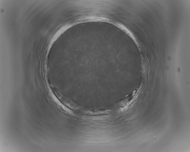 X0000072501381200608041430