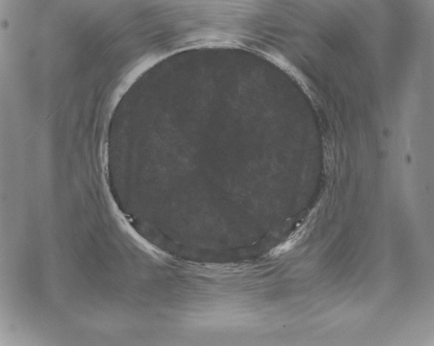 X0000072501383200608041430