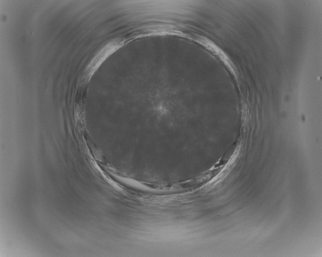 X0000072501385200608041430