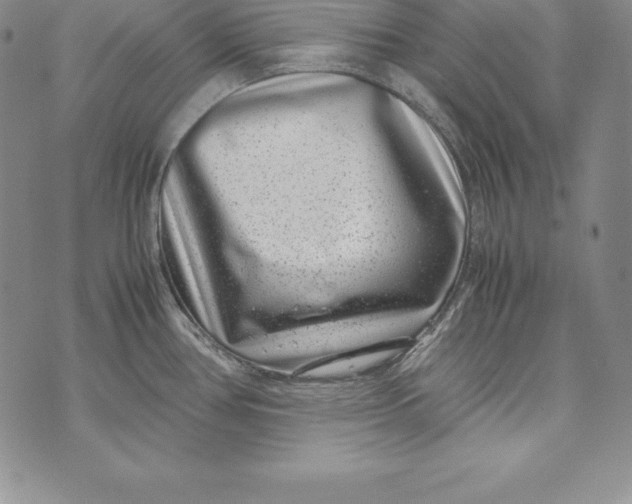 X0000072501386200608041430