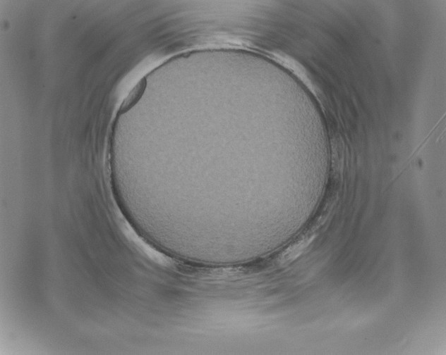 X0000072501387200608041430