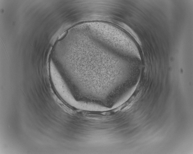 X0000072501388200608041430