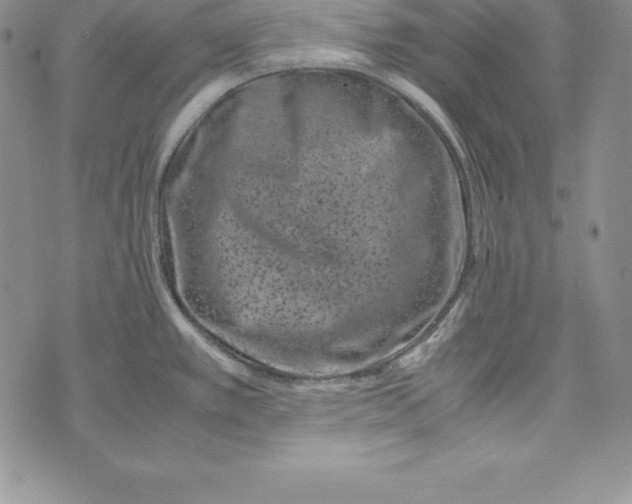 X0000072501389200608041430