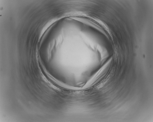 X0000072501390200608041430