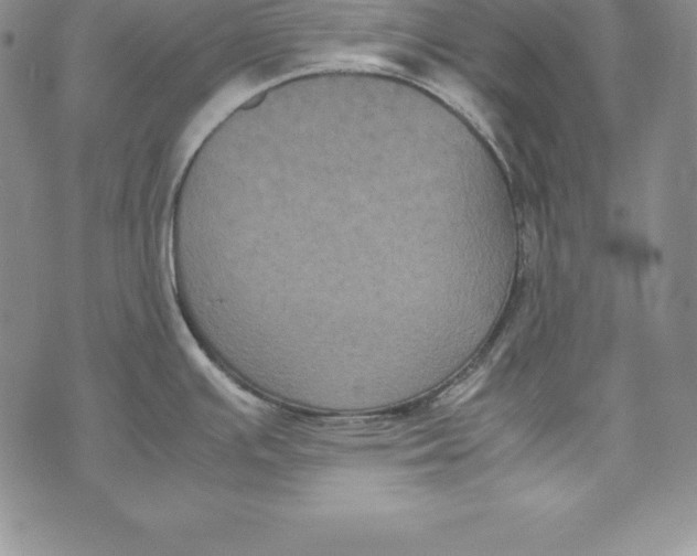 X0000072501391200608041430